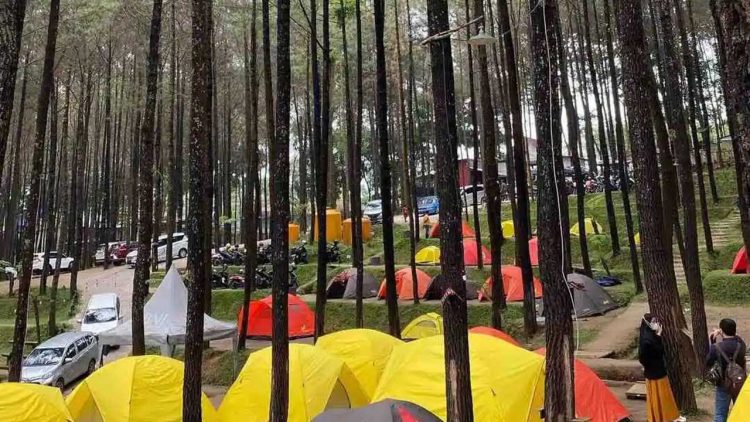 Bupati Mojokerto Apresiasi Wisata Alam Alas Veenuz Trawas