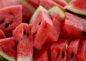 Hortikultura Kutim Jadi Harapan Baru Ekonomi Desa