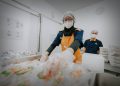 KAI Services Lolos Sertifikasi ISO 22000