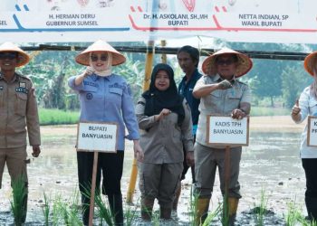 Banyuasin Optimistis Lampaui Satu Juta Ton Padi