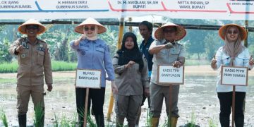 Banyuasin Optimistis Lampaui Satu Juta Ton Padi