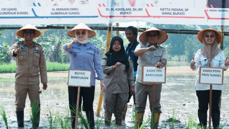 Banyuasin Optimistis Lampaui Satu Juta Ton Padi