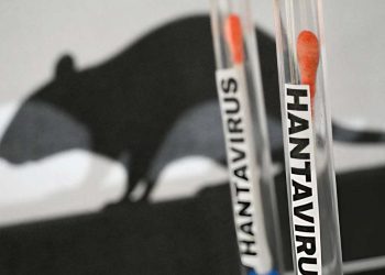 Dinkes Tanjungpinang Waspadai Ancaman Hantavirus