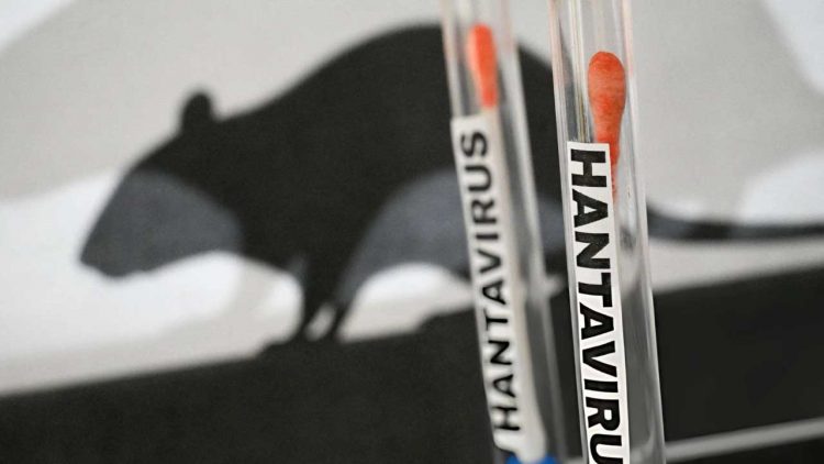 Dinkes Tanjungpinang Waspadai Ancaman Hantavirus