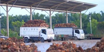 Bupati Kutim Kumpulkan Perusahaan Sawit Bahas Harga TBS