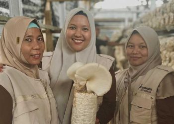 UMKM Seroja Kampar Perkuat Budidaya Jamur Tiram Mandiri
