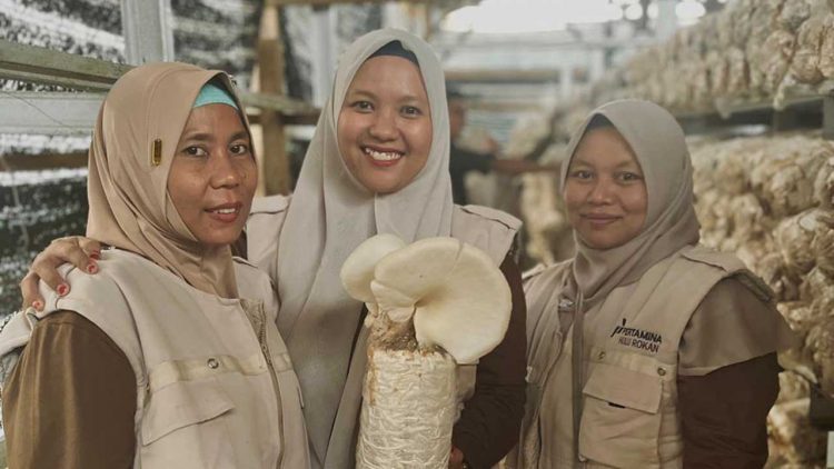 UMKM Seroja Kampar Perkuat Budidaya Jamur Tiram Mandiri