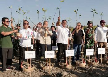 Ribuan Mangrove Ditanam untuk Perkuat Ekosistem Pesisir Bali