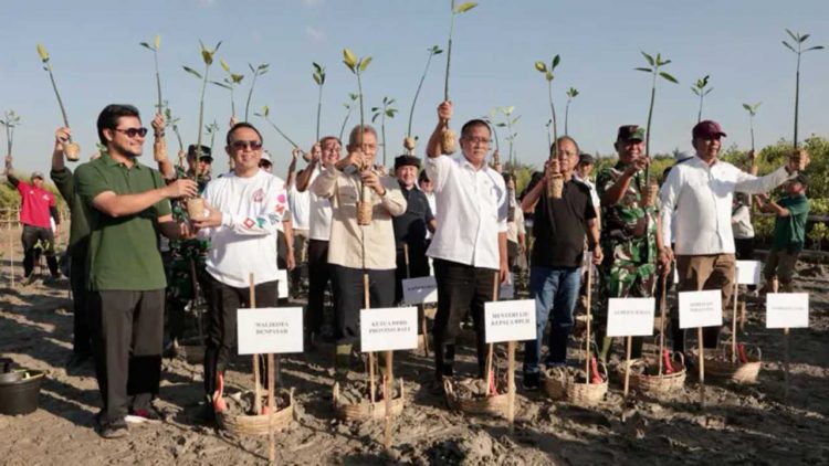 Ribuan Mangrove Ditanam untuk Perkuat Ekosistem Pesisir Bali