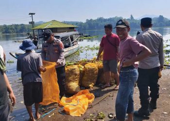 Gotong Royong Bersihkan Eceng Gondok di Waduk Jangari