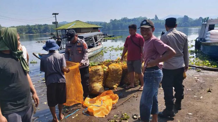 Gotong Royong Bersihkan Eceng Gondok di Waduk Jangari