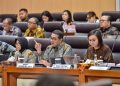Musisi hingga Kreator Konten Tak Dapat PPh Final 0,5%