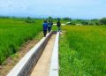 Kementerian Pu Perkuat Irigasi dan Dukung Keberlanjutan Subak di 78 Lokasi