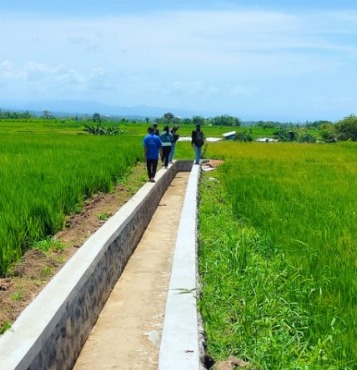 Kementerian Pu Perkuat Irigasi dan Dukung Keberlanjutan Subak di 78 Lokasi