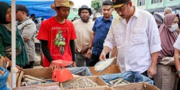 Pemerintah Percepat Pemulihan UMKM Pascabencana Sumatera