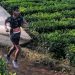 Dieng Caldera Race 2026 Dorong Sport Tourism Wonosobo