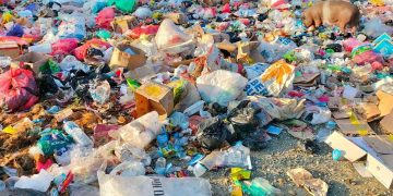 Sidoarjo Perkuat TPS 3R dan Pengawasan Sampah