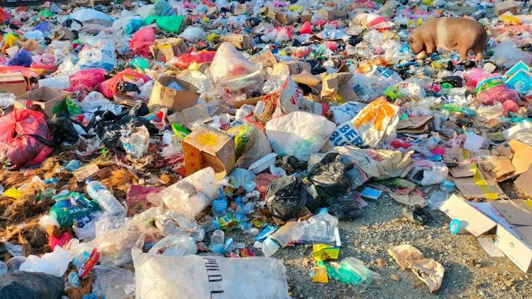 Sidoarjo Perkuat TPS 3R dan Pengawasan Sampah