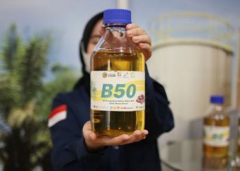 Program B50 Diproyeksikan Perkuat Perkebunan Sawit Kaltim