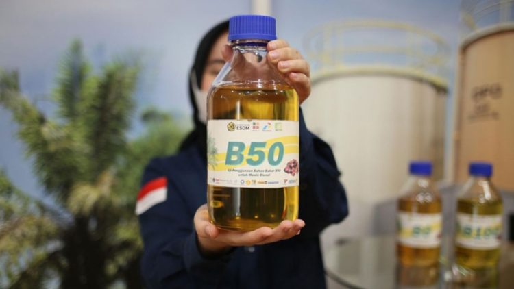 Program B50 Diproyeksikan Perkuat Perkebunan Sawit Kaltim