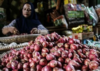 BKHIT Kepri Amankan Ratusan Koli Hortikultura di Pelabuhan Sri Payung