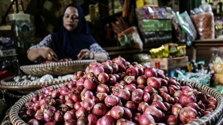 BKHIT Kepri Amankan Ratusan Koli Hortikultura di Pelabuhan Sri Payung