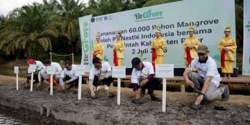 Nestlé Indonesia Tanam 60 Ribu Mangrove di Paser Perkuat Rehabilitasi Pesisir dan Aksi Iklim
