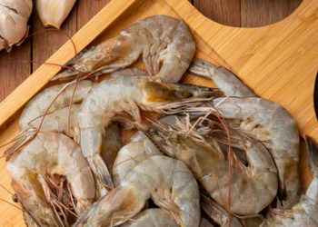 Wagub Tinjau Pengembangan Shrimp Estate Sukamara