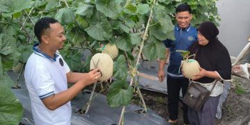 Lapas Palangka Raya Panen Melon Premium