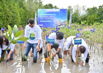 Hijaukan Pesisir, ASDP Tanam 2.500 Mangrove di Pagimana