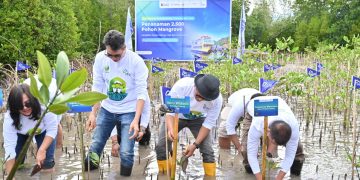 Hijaukan Pesisir, ASDP Tanam 2.500 Mangrove di Pagimana
