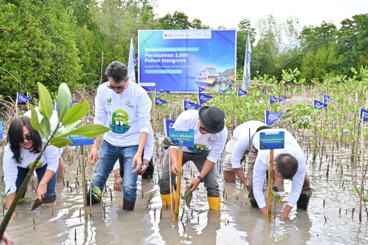 Hijaukan Pesisir, ASDP Tanam 2.500 Mangrove di Pagimana