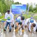 Hijaukan Pesisir, ASDP Tanam 2.500 Mangrove di Pagimana