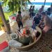 12 Penumpang Speedboat SB. Mister Un Berhasil Dievakuasi dengan Selamat