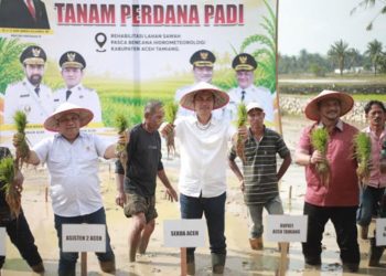 Aceh Mulai Tanam Padi Pascabencana di Aceh Tamiang