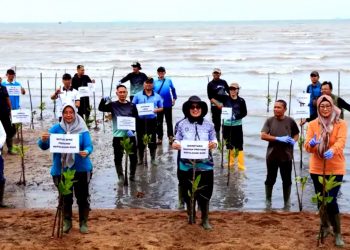Kepri Tanam Seribu Bibit Mangrove Peringati Hari Mangrove Sedunia