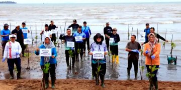 Kepri Tanam Seribu Bibit Mangrove Peringati Hari Mangrove Sedunia