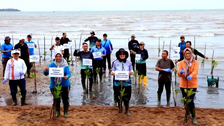 Kepri Tanam Seribu Bibit Mangrove Peringati Hari Mangrove Sedunia