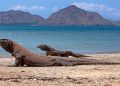 Pariwisata Labuan Bajo Diperkuat Pascagempa