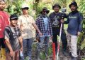 PLN Tertibkan Aset Tanah Tapak Tower