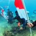 Pulau Miang Jadi Lokasi Upacara Bawah Laut HUT RI