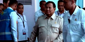 Prabowo Luncurkan Program PLTS 100 GWp di Bali
