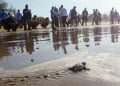 Gerakan Langit Biru Indonesia Dorong Kepedulian Lingkungan