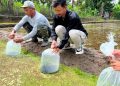 Minapadi Subak Gianyar Buka Peluang Ekonomi Baru