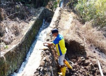 Kementerian PU Percepat Identifikasi Kerusakan Infrastruktur Irigasi Pasca Gempa di NTT