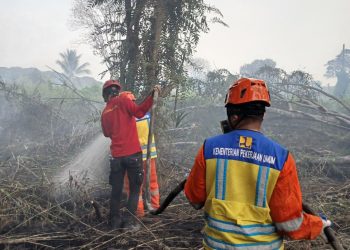 Kementerian PU Perkuat Dukungan Air untuk Tangani Karhutla di Kalimantan dan Jambi