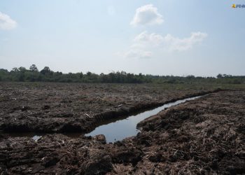 Menteri Dody Targetkan 3 Sekolah Rakyat di Kepri Rampung Juni 2027