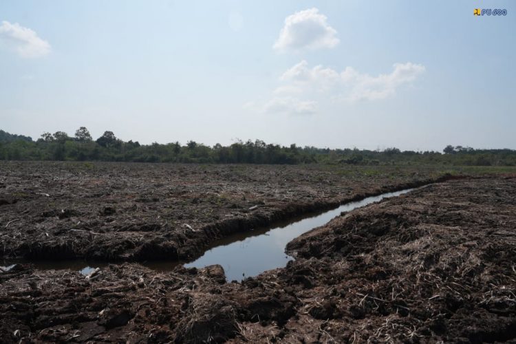 Menteri Dody Targetkan 3 Sekolah Rakyat di Kepri Rampung Juni 2027