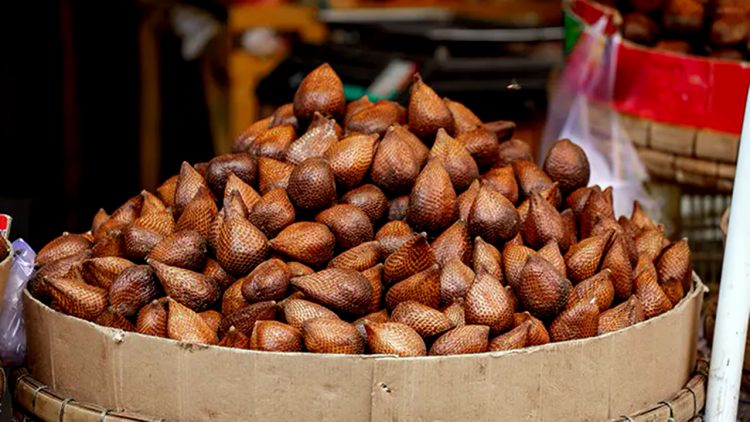 Salak Bali Tembus Pasar Tiongkok