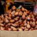 Salak Bali Tembus Pasar Tiongkok